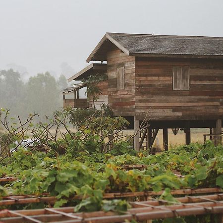 Phuruarounmai Organic Living Resort Loei Ngoại thất bức ảnh
