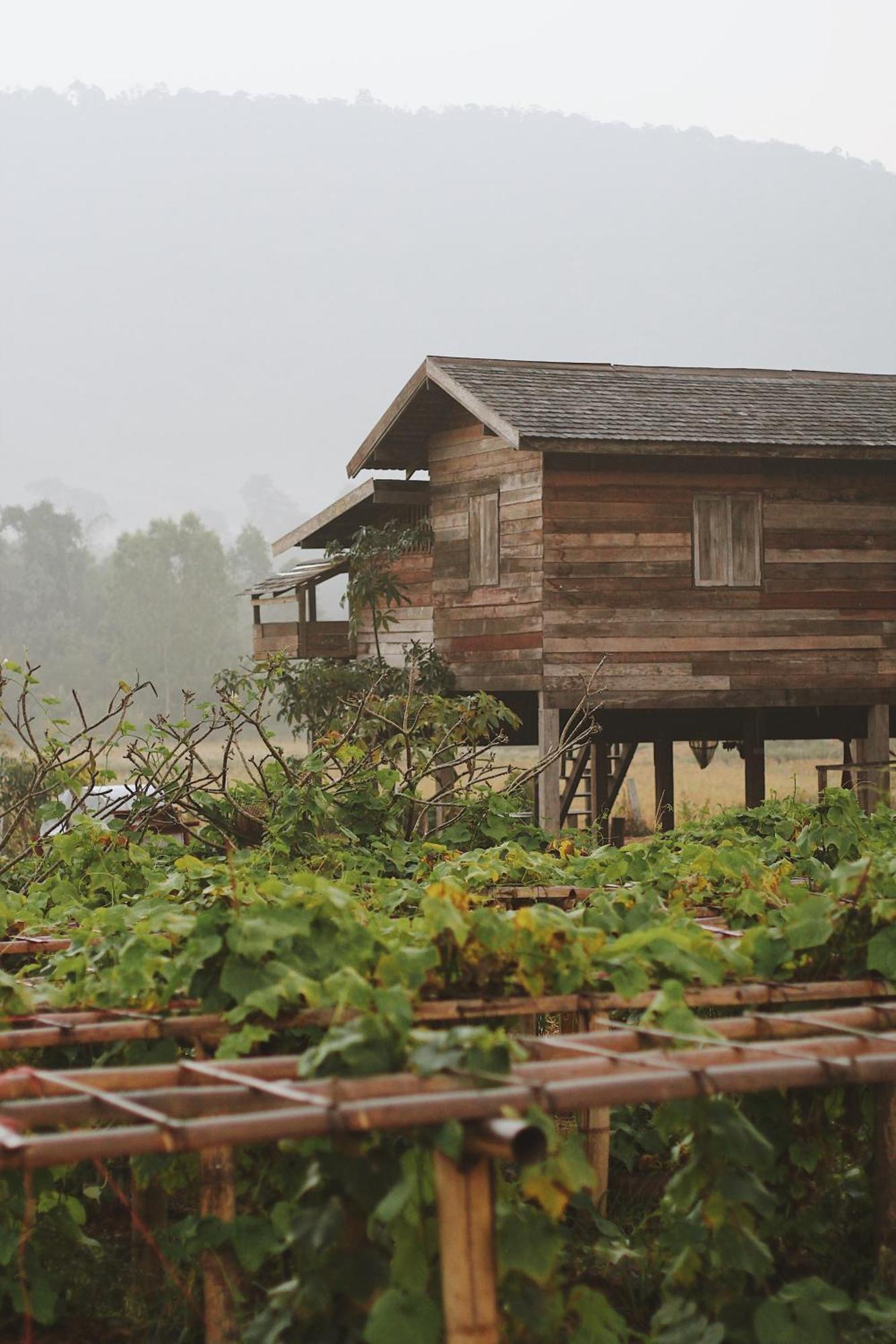 Phuruarounmai Organic Living Resort Loei Ngoại thất bức ảnh