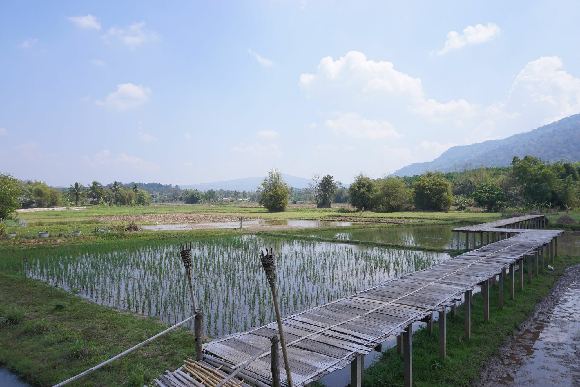 Phuruarounmai Organic Living Resort Loei Ngoại thất bức ảnh