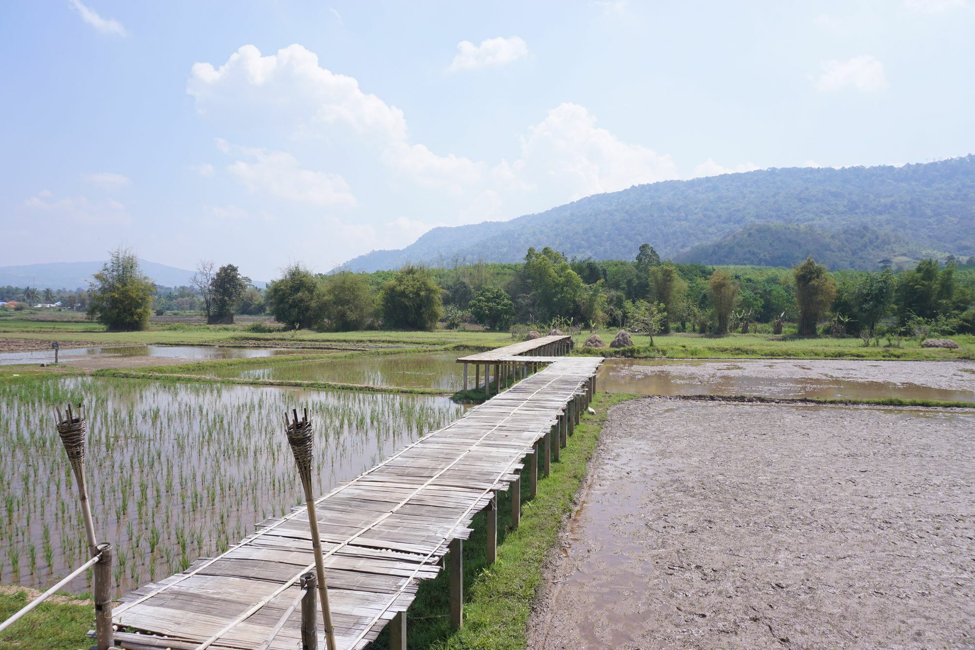 Phuruarounmai Organic Living Resort Loei Ngoại thất bức ảnh